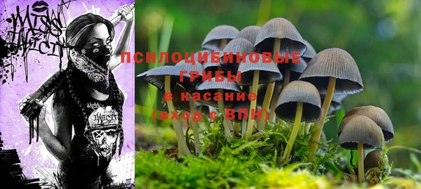 прущая мука Строитель