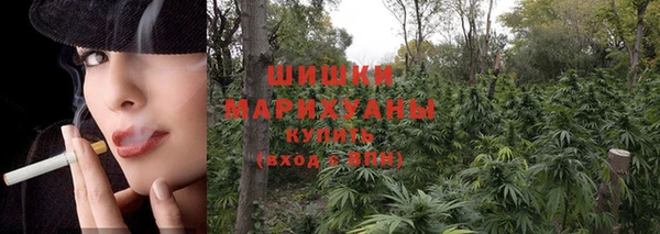 молекула духа Мегион
