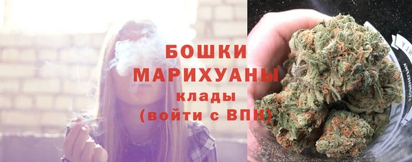 spice Струнино