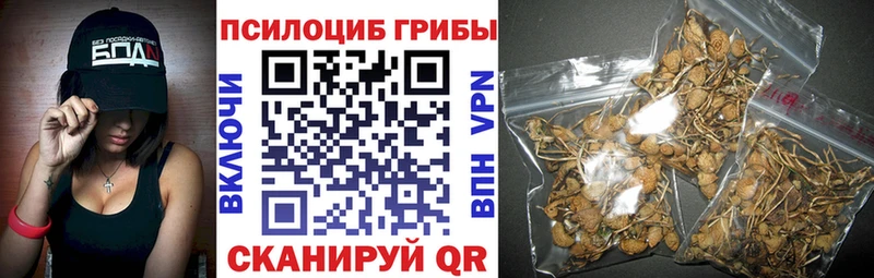 кракен ССЫЛКА  Жуковский  Псилоцибиновые грибы Cubensis 